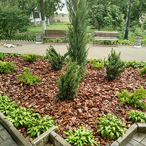 Хвойная мульча в Южно-Сахалинске купить - оперативная доставка по всей России