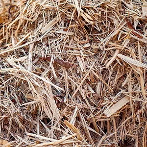 Щепа для арболита оптом в Южно-Сахалинске и других различных марок заказать от 16 тонн